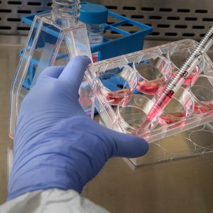 Laboratori Professionalizzanti
